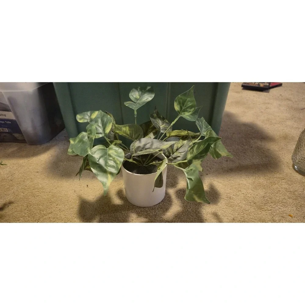 IKEA 🌿 lot